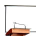 Classification category